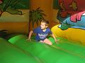 minizoo 13